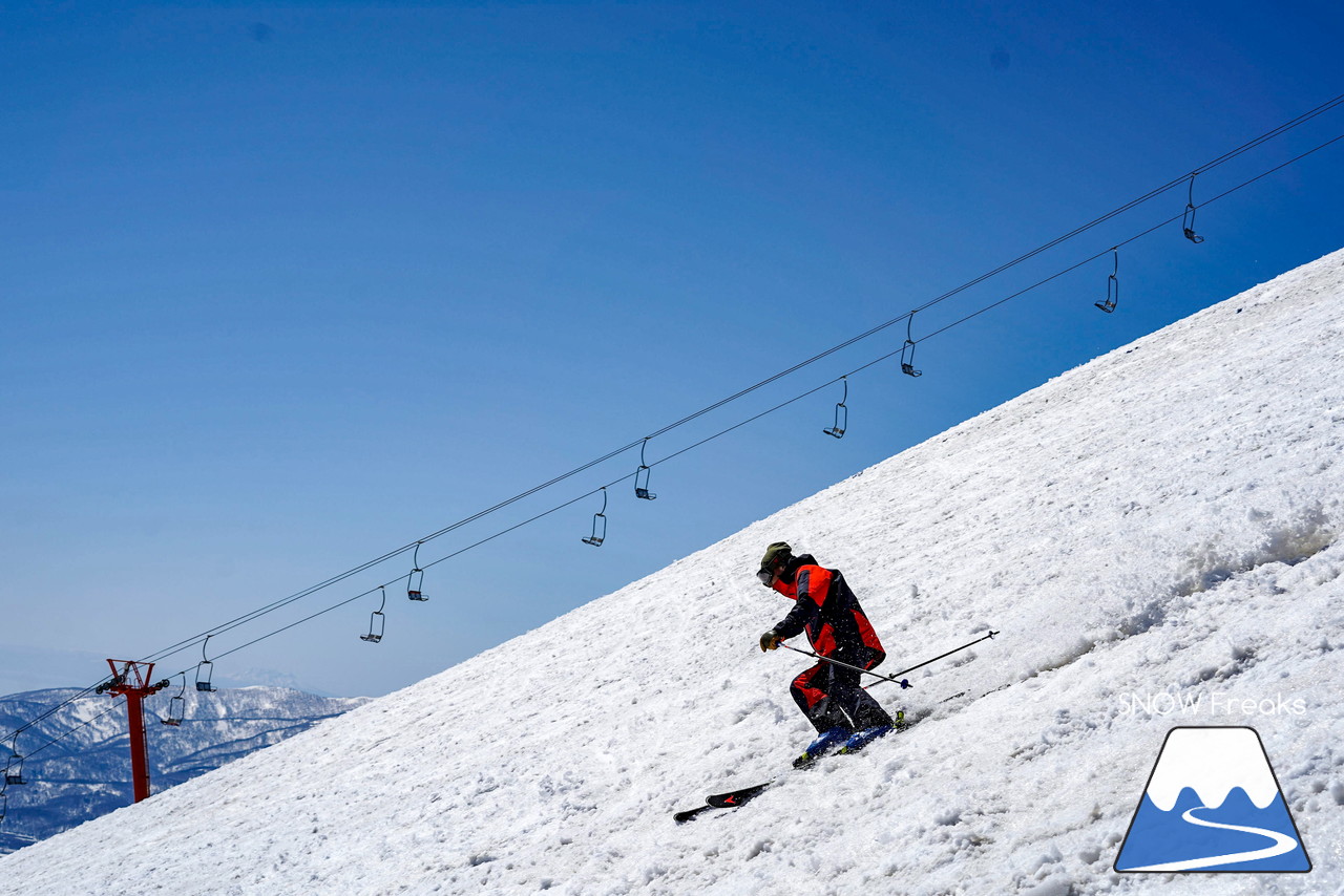 ニセコグラン・ヒラフ DYNASTAR SKI TEST RIDE DAYS Photo Session!!最高の天気に恵まれたニセコに、最高の仲間たちが集まりました☆